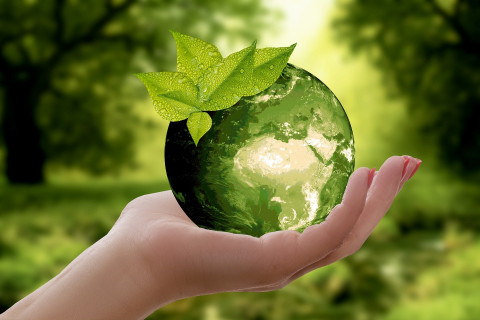 Vue d'un main tenant une planète terre verte